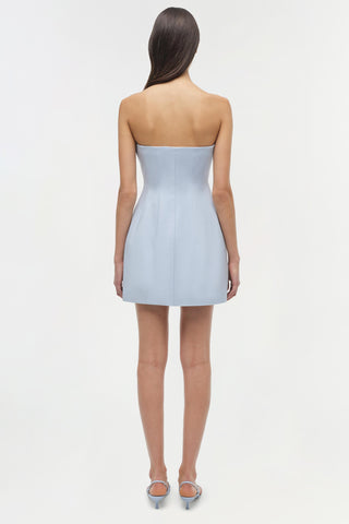 Arta Strapless Mini Dress