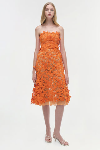 Fleurella Applique Midi Dress