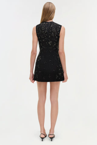 Evelina Embellished Lace Mini Dress