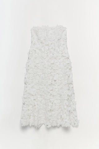 Fleurella Applique Midi Dress