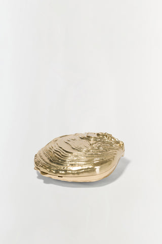 Cove Shell Clutch