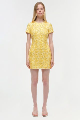 Clove Embellished Mini Dress