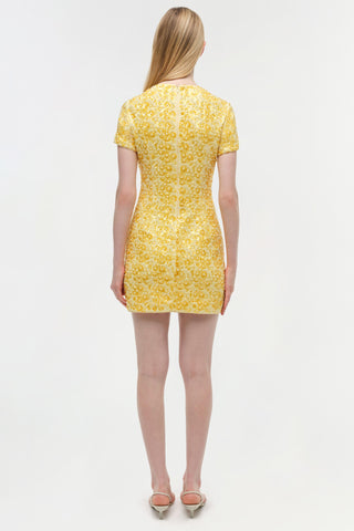 Clove Embellished Mini Dress