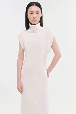 Cashmere Turtleneck Dress