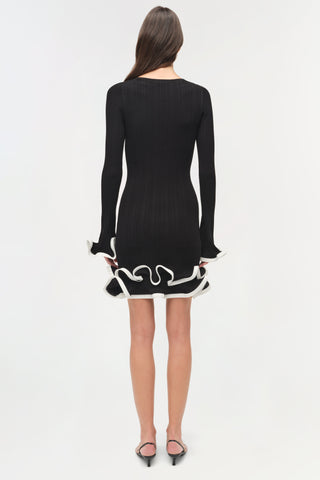 Avalon Knit Mini Dress