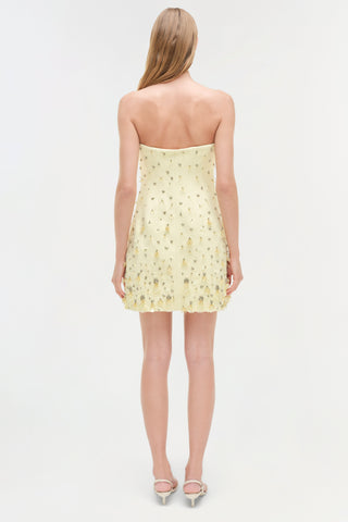 Yasmin Embellished Strapless Mini Dress