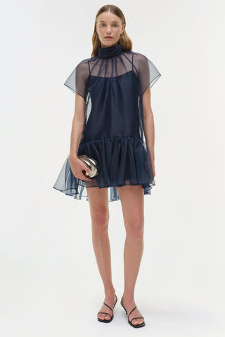 Beaux Organza Dress