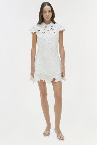 Holloway Embroidered Mini Dress