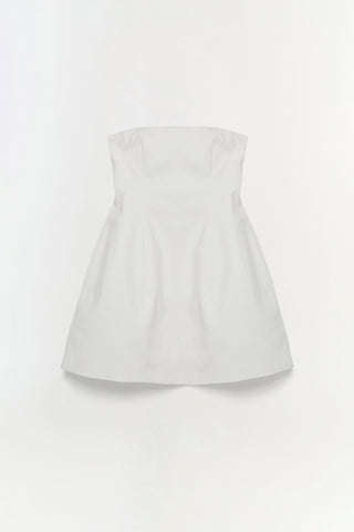 Arta Strapless Mini Dress