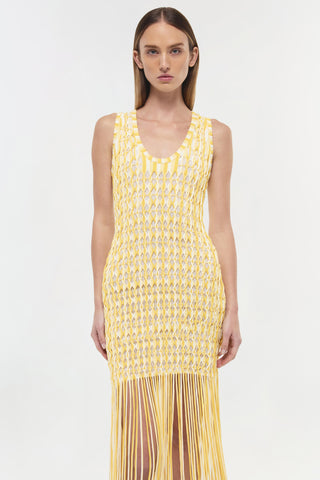 Sonia Fringe Knit Dress