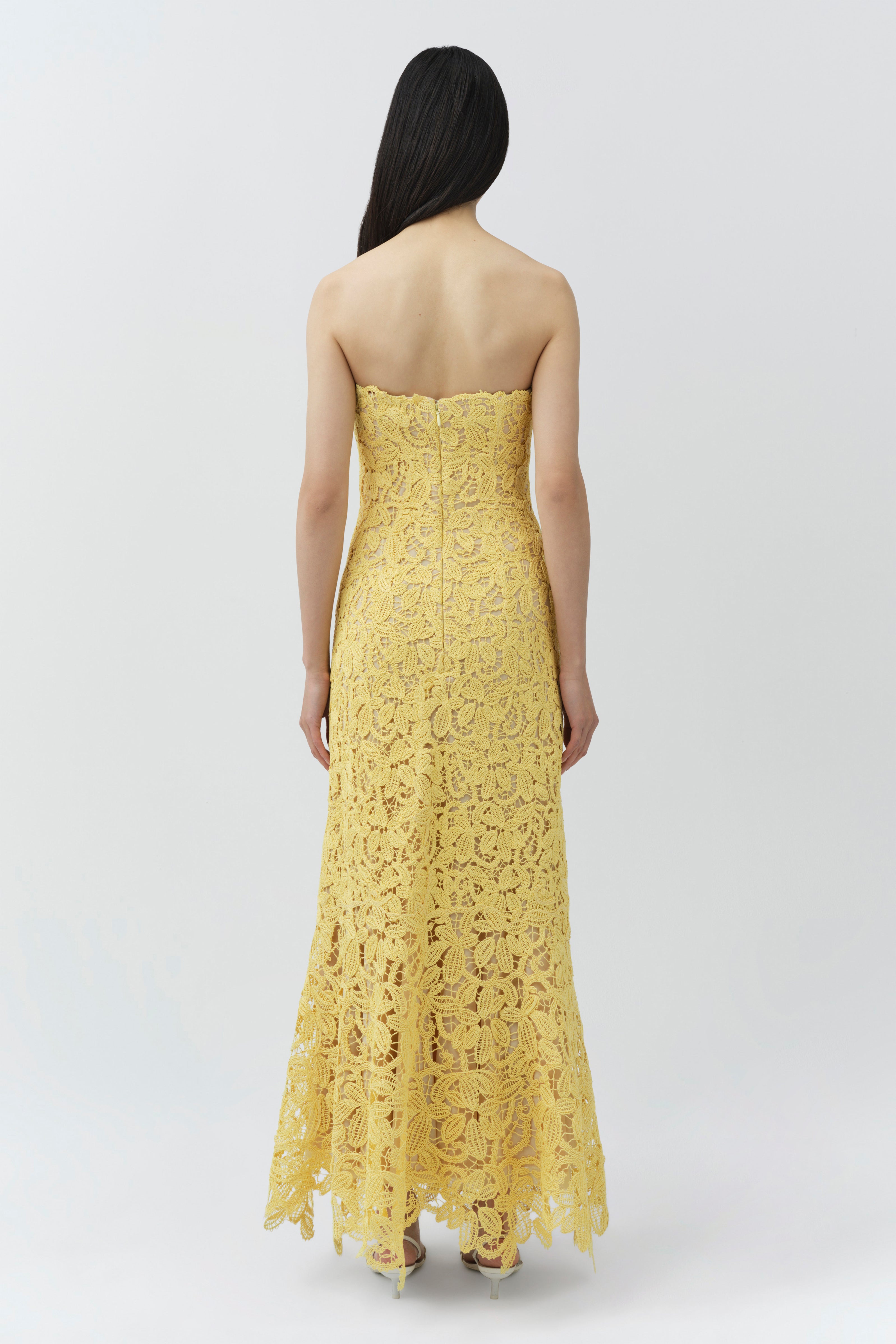 SIMKHAI Sera Floral Lace Bustier Maxi Dress, Golden Haze, Women's, XS