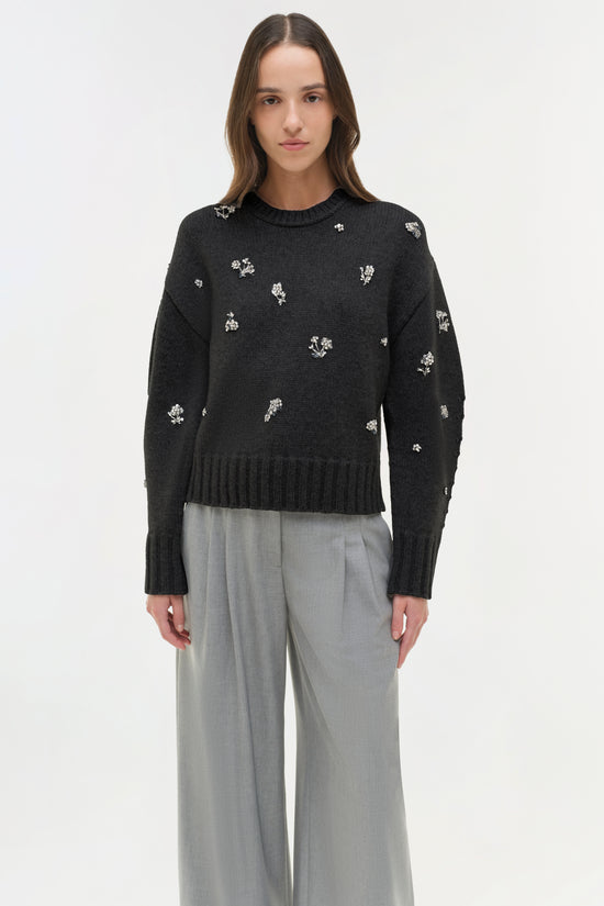 Coraline Embellished Knit Crewneck