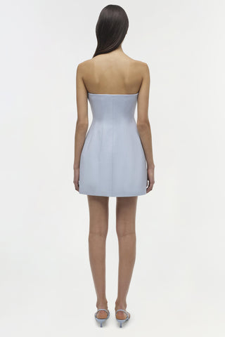 Arta Strapless Mini Dress