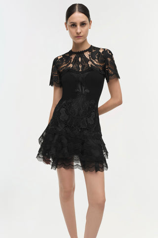 Signature Paislee Dress