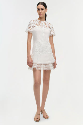 Signature Paislee Dress
