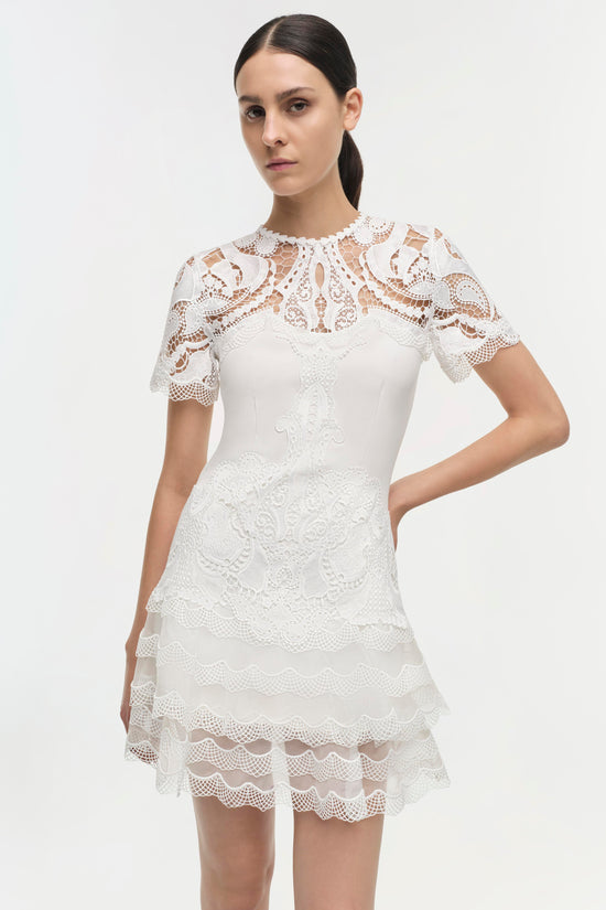 Signature Paislee Dress