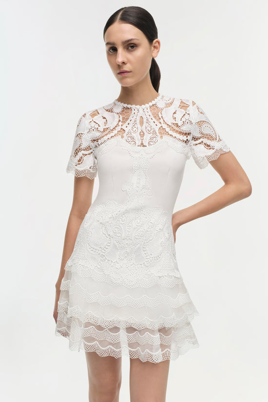 Signature Paislee Dress