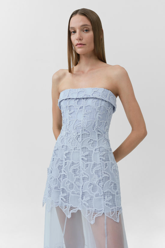 Rennis Embroidered Organza Bustier Gown