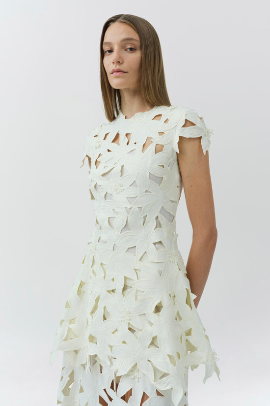 Neve Embroidered Cotton Midi Dress