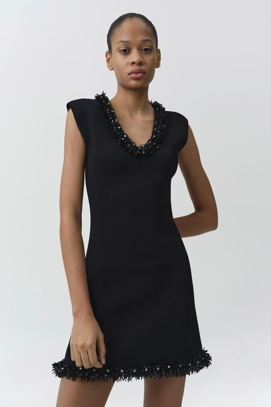 Black sleeveless mini dress with textured fringe trim at neckline and hemline.