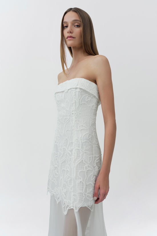 Rennis Embroidered Organza Bustier Gown