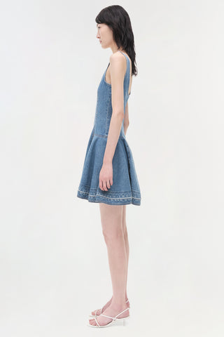 Eleodra Denim Mini Dress