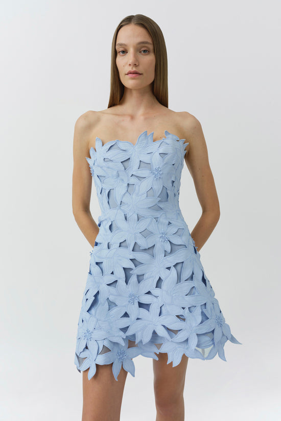 Miri Embroidered Cotton Bustier Mini Dress