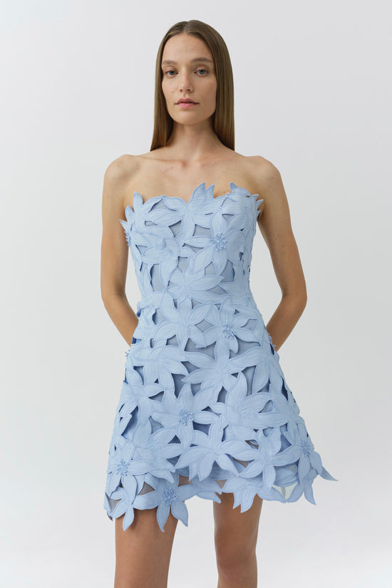 Miri Embroidered Cotton Bustier Mini Dress