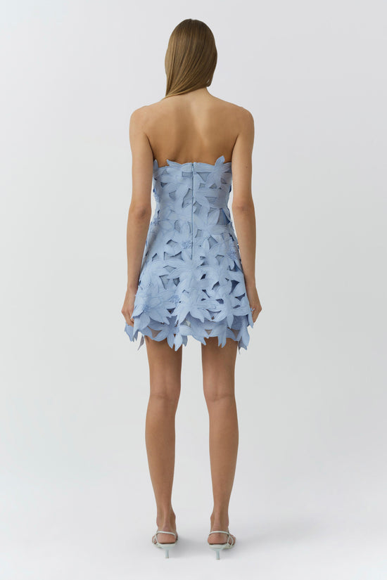 Miri Embroidered Cotton Bustier Mini Dress