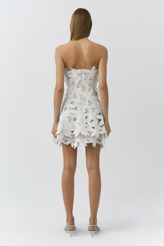 Miri Embroidered Cotton Bustier Mini Dress