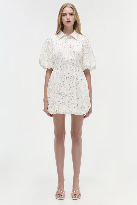 Cleo Embroidered Mini Dress