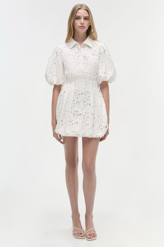 Cleo Embroidered Mini Dress