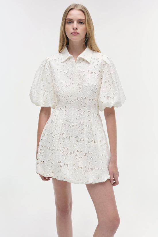 Cleo Embroidered Mini Dress