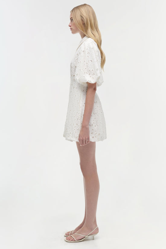 Cleo Embroidered Mini Dress