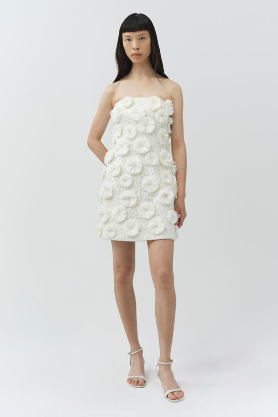 Holland Floral Raffia Bustier Mini Dress