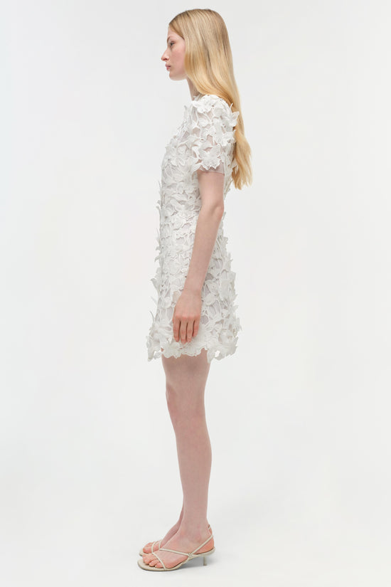 Darla Applique Mini Dress