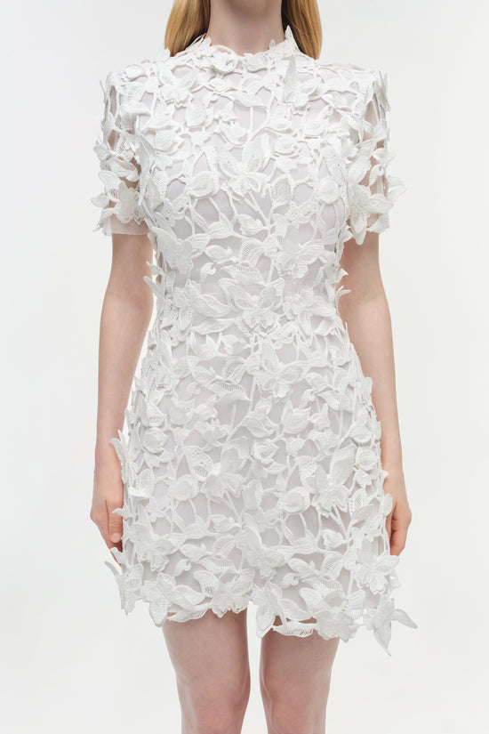 Darla Applique Mini Dress