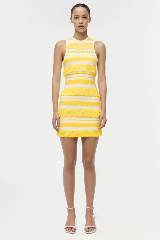 Elly Knit Mini Dress