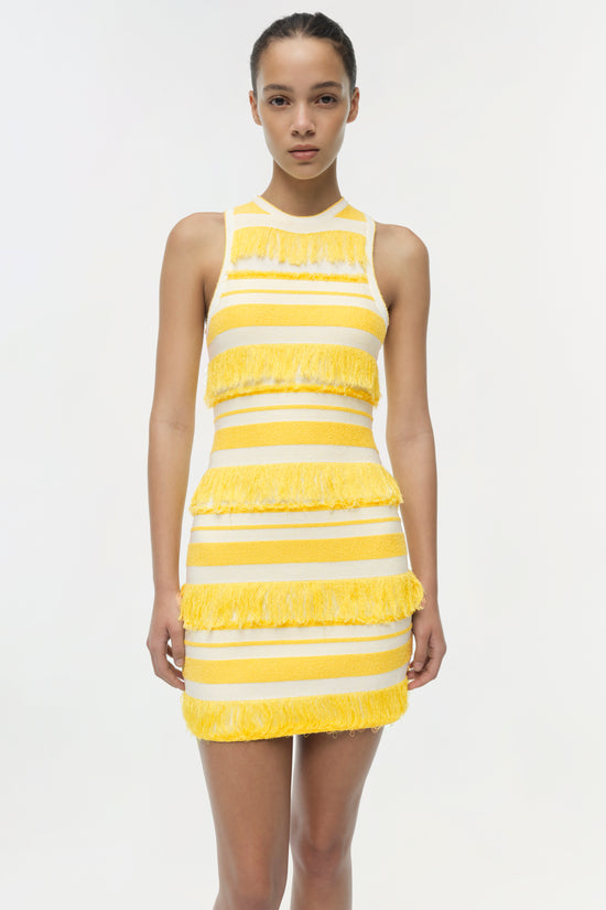 Elly Knit Mini Dress