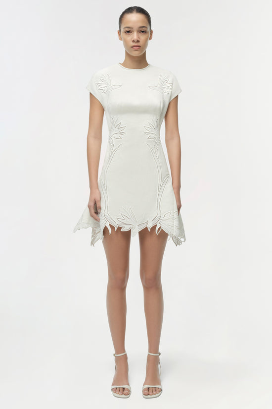 Raquel Embroidered Mini Dress