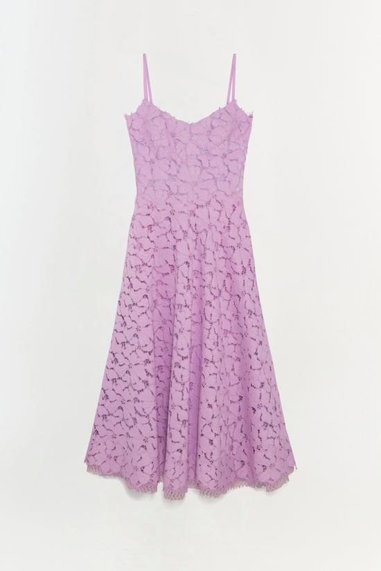 Julia Lace Midi Dress