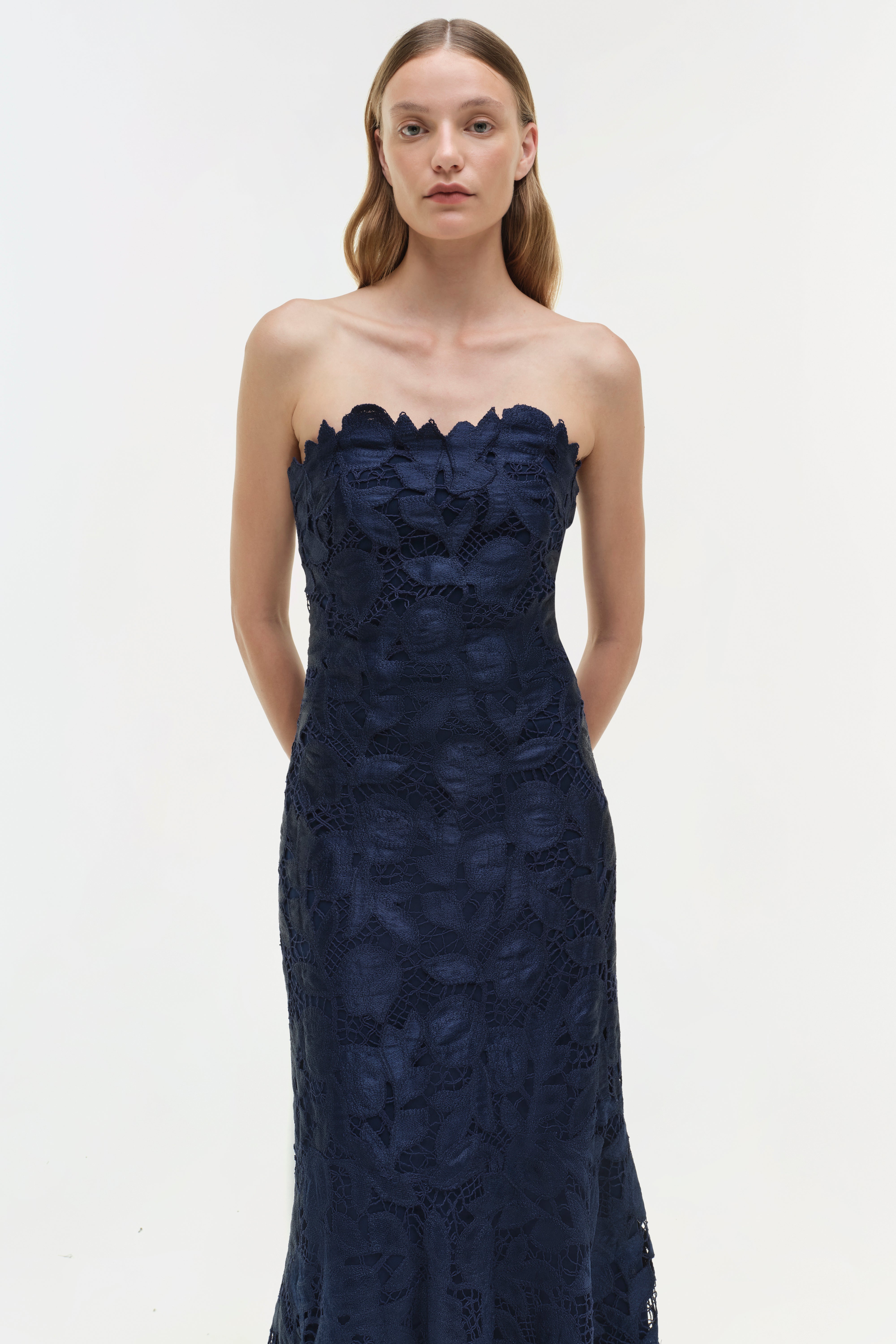 Valletta Strapless Embroidered Dress SIMKHAI Valletta Strapless Embroidered Dress SIMKHAI
