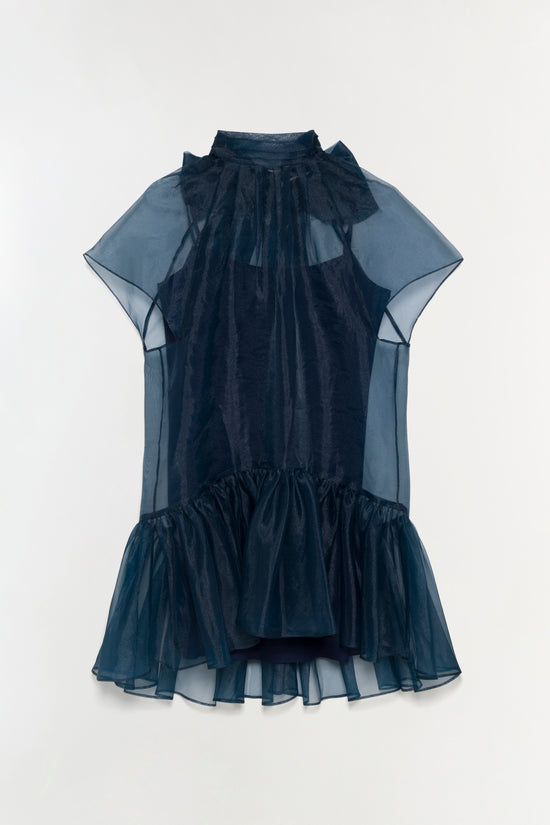 Beaux Organza Dress
