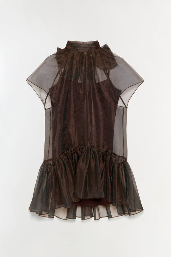 Beaux Organza Dress