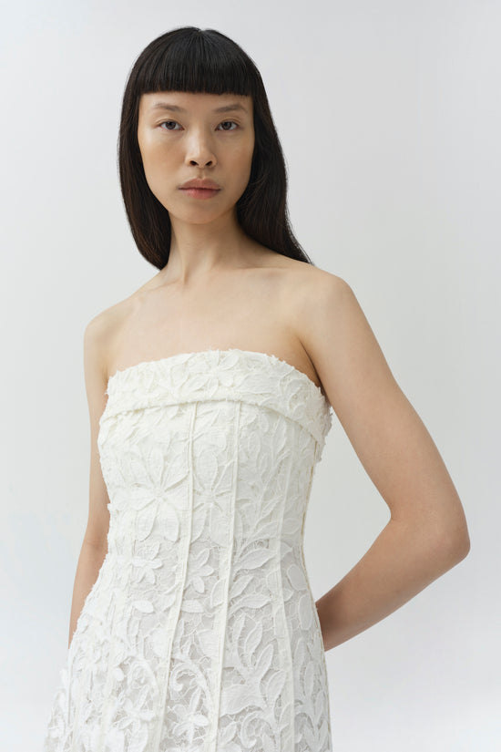 Imogen Lace Bustier Midi Dress