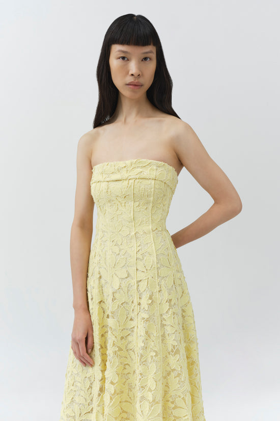 Imogen Lace Bustier Midi Dress