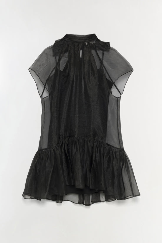 Beaux Organza Dress