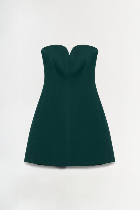 Devin Bustier Mini Dress