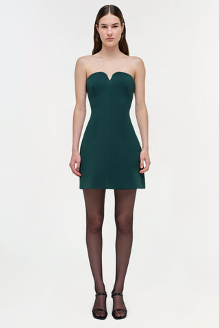 Devin Bustier Mini Dress