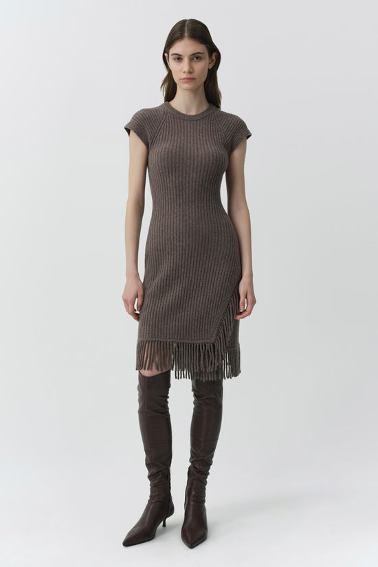 Margot Knit Fringe Mini Dress